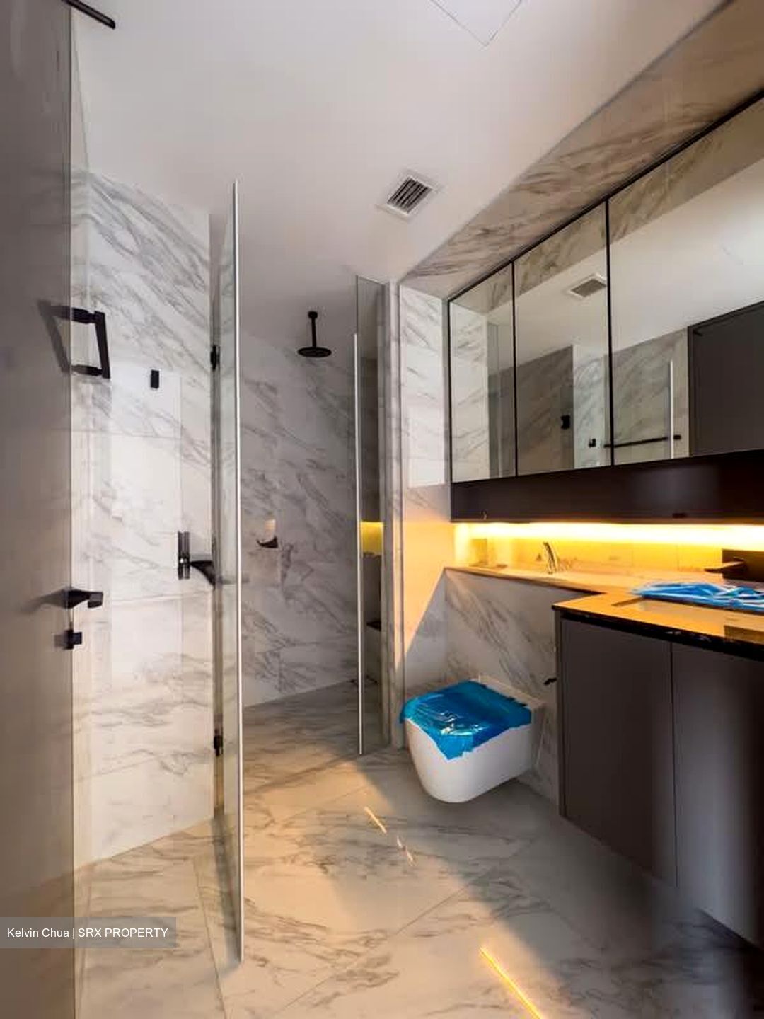 The Landmark (D3), Condominium #585471661